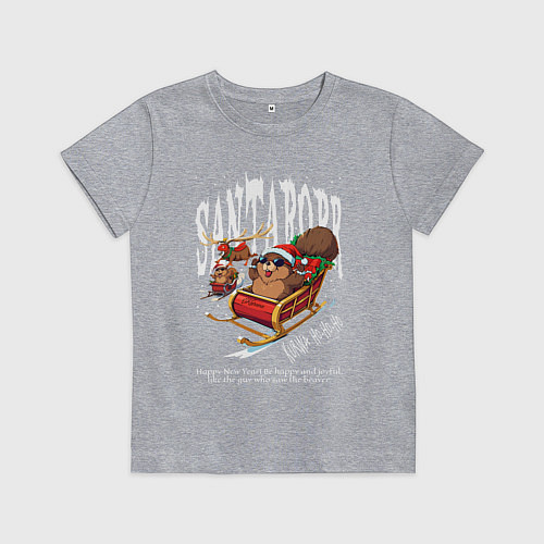 Детская футболка Санта бобр курва / Меланж – фото 1