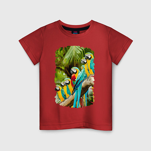 Детская футболка Экзотические попугаи / Красный – фото 1