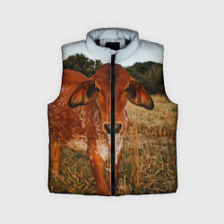 Детский жилет Коровка на поле, цвет: 3D-черный