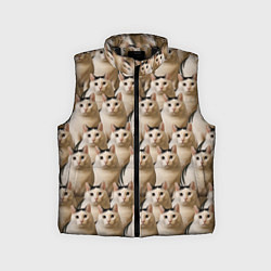 Детский жилет Толстый кот мем Бендер фото паттерн, цвет: 3D-черный