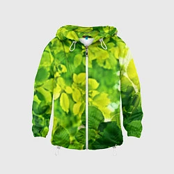 Ветровка с капюшоном детская Зелёные листья, цвет: 3D-белый