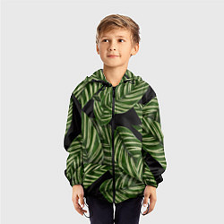 Ветровка с капюшоном детская Тропические большие листья, цвет: 3D-черный — фото 2