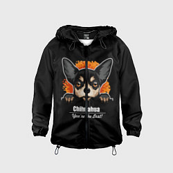 Детская ветровка Чихуахуа Chihuahua