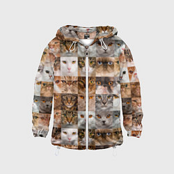 Детская ветровка Pedigreed cats
