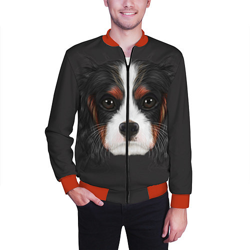 Мужской бомбер Cavalier King Charles / 3D-Красный – фото 3