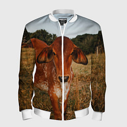 Бомбер мужской Коровка на поле, цвет: 3D-белый