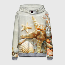 Толстовка-худи мужская Морские ракушки, цвет: 3D-меланж