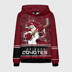 Толстовка-худи мужская Arizona Coyotes, цвет: 3D-черный