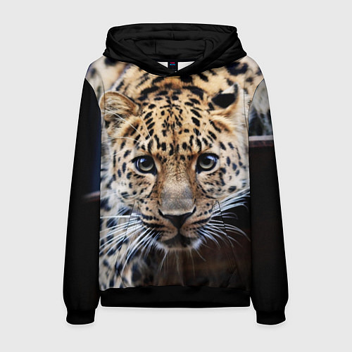 Мужская толстовка Дикая кошка / 3D-Черный – фото 1