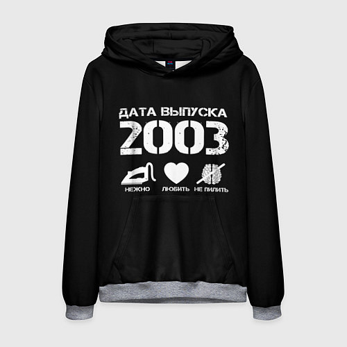 Мужская толстовка Дата выпуска 2003 / 3D-Меланж – фото 1