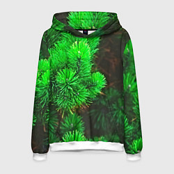 Толстовка-худи мужская Зелёная ель, цвет: 3D-белый