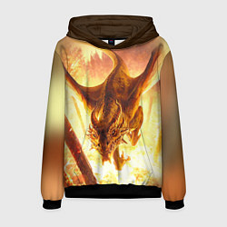 Толстовка-худи мужская Дракон, цвет: 3D-черный