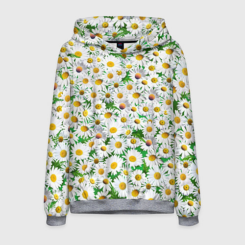 Мужская толстовка Полевые ромашки / 3D-Меланж – фото 1
