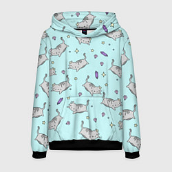 Толстовка-худи мужская Кавайные котики, цвет: 3D-черный