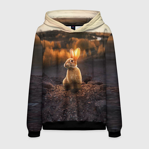 Мужская толстовка Солнечный зайчик / 3D-Черный – фото 1