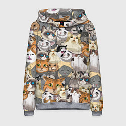 Толстовка-худи мужская ALL CATS MEMES, цвет: 3D-меланж