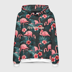 Мужская толстовка Flamingo