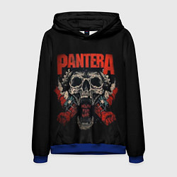 Мужская толстовка Pantera