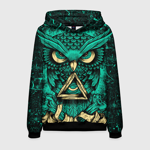 Мужская толстовка Тотемная сова / 3D-Черный – фото 1
