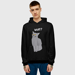 Толстовка-худи мужская What cat, цвет: 3D-черный — фото 2