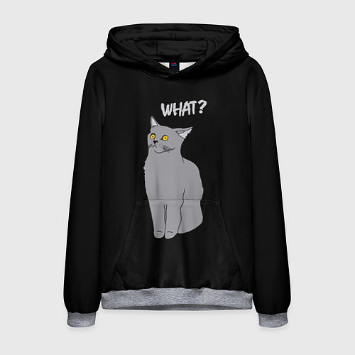 Мужская толстовка What cat / 3D-Меланж – фото 1