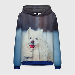 Толстовка-худи мужская САМОЕД, цвет: 3D-синий