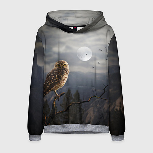 Мужская толстовка Сова / 3D-Меланж – фото 1