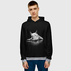 Толстовка-худи мужская Puppy, цвет: 3D-меланж — фото 2