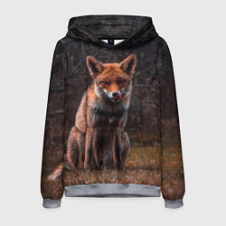 Толстовка-худи мужская Хищная лисица, цвет: 3D-меланж
