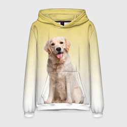 Толстовка-худи мужская Лабрадор ретривер пес, цвет: 3D-белый
