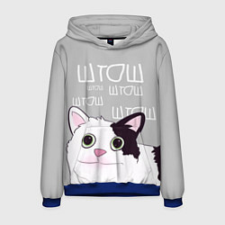 Толстовка-худи мужская Штош, цвет: 3D-синий