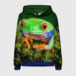 Толстовка-худи мужская Тропическая лягушка, цвет: 3D-синий