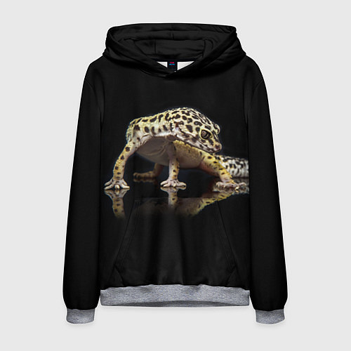 Мужская толстовка ЭУБЛЕФАР EUBLEPHARIS / 3D-Меланж – фото 1