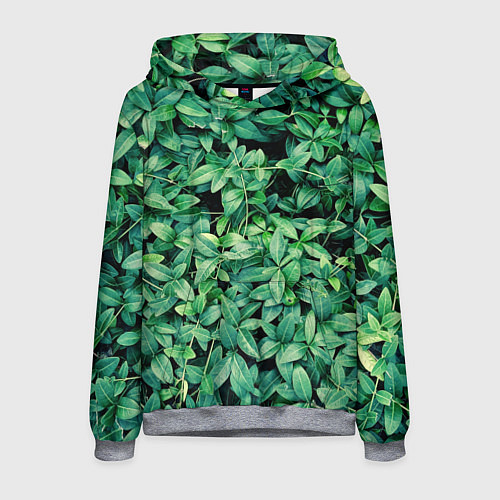 Мужская толстовка Барвинок / 3D-Меланж – фото 1