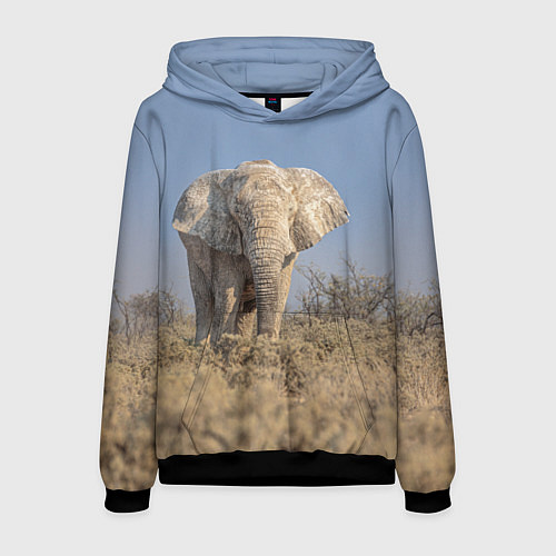 Мужская толстовка Африканский белый слон / 3D-Черный – фото 1
