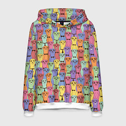 Толстовка-худи мужская Красочные Сурикаты, цвет: 3D-белый