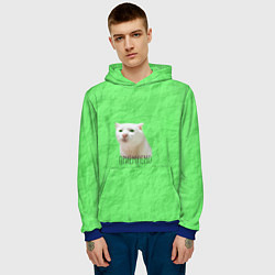 Толстовка-худи мужская Приемлемо кот мем, цвет: 3D-синий — фото 2