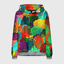 Толстовка-худи мужская Colored leaves, цвет: 3D-меланж