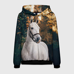 Толстовка-худи мужская Белая лошадка, цвет: 3D-черный