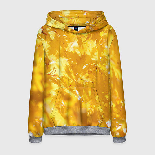 Мужская толстовка Золотые листья на ветках / 3D-Меланж – фото 1