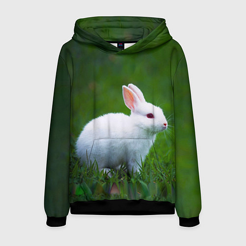 Мужская толстовка Кролик на фоне травы / 3D-Черный – фото 1