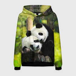 Толстовка-худи мужская Влюблённые панды, цвет: 3D-черный