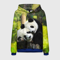 Толстовка-худи мужская Влюблённые панды, цвет: 3D-синий