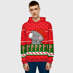 Толстовка-худи мужская Серый котик - игра в снежки, цвет: 3D-красный — фото 2