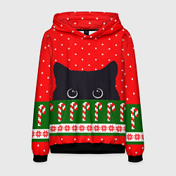 Толстовка-худи мужская Котик: новогодний свитер, цвет: 3D-черный