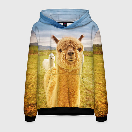 Мужская толстовка Ламы - я и друг, найди меня / 3D-Черный – фото 1