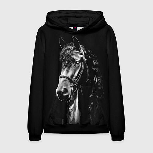 Мужская толстовка Конь вороной кудрявый / 3D-Черный – фото 1