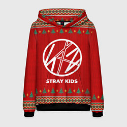 Толстовка-худи мужская Stray Kids new year, цвет: 3D-черный