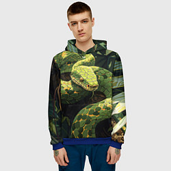 Толстовка-худи мужская Змея в траве, цвет: 3D-синий — фото 2