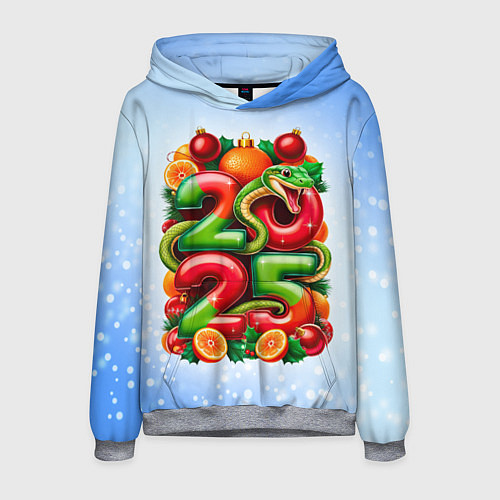 Мужская толстовка Змеи к нам приходят 2025 / 3D-Меланж – фото 1